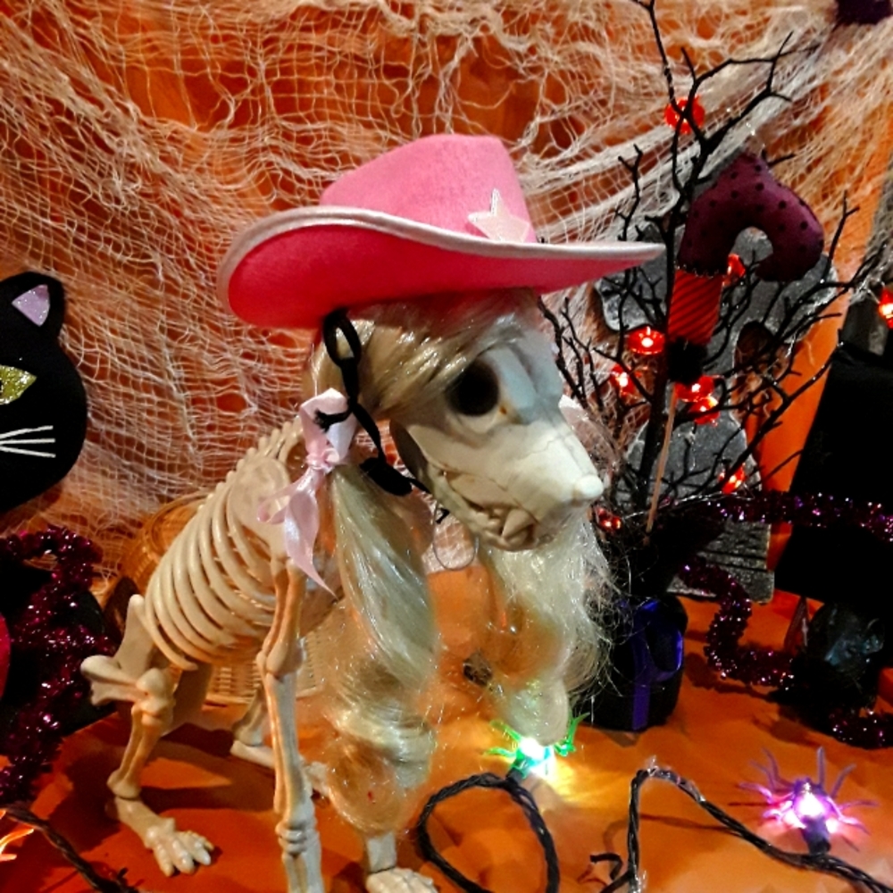 Hats for pets